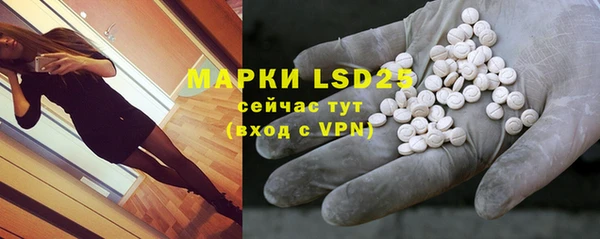 гидра Белокуриха