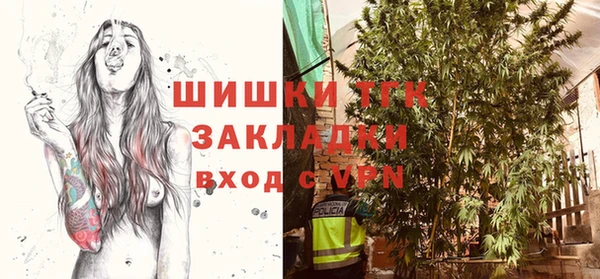 гидра Белокуриха