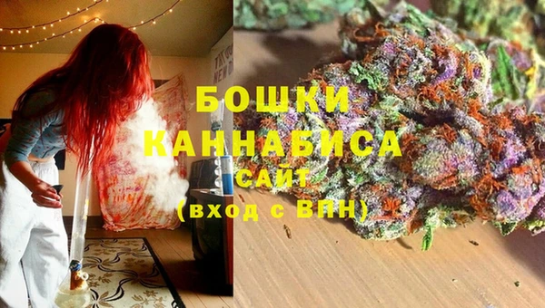 гидра Белокуриха