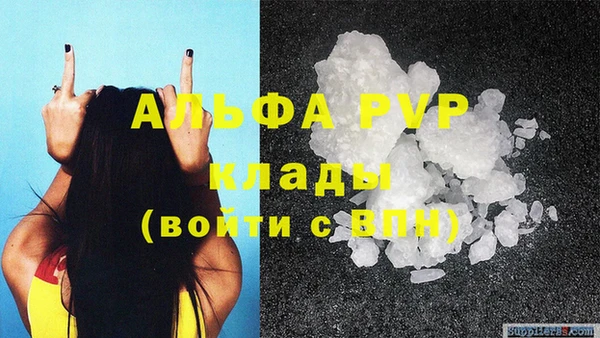 гидра Белокуриха